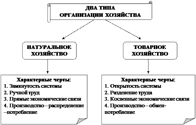 Сельскохозяйственные предприятия формы собственности. Сельскохозяйственные предприятия формы собственности