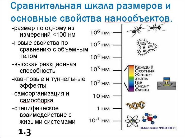 Наночастицы в живой и неживой природе. Нано размер. Нанообъекты. Объект имеющий наноразмер. Классификация нано объектов.