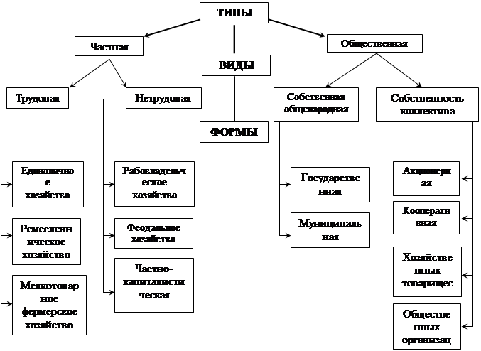 Существуют следующие виды. Полицейские Цепочки бывают следующих видов:. Полицейская цепочка задачи. Форма собственности салона красоты. Городской транспорт вид собственности.