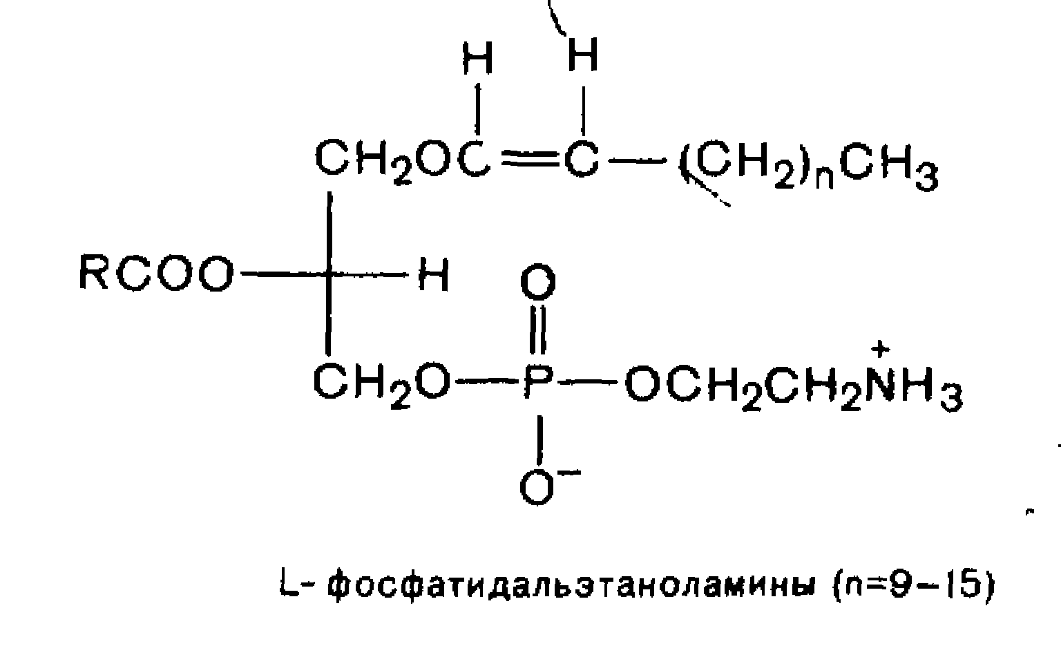 Гидролиз липидов липазой. Липиды реакции. Липиды реакции. Общая формула липидов и жиров. Щелочной гидролиз триацилглицеридов.