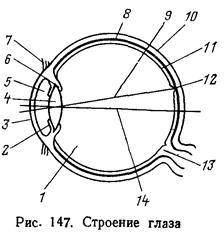 Что такое параксиальная область. Смотреть фото Что такое параксиальная область. Смотреть картинку Что такое параксиальная область. Картинка про Что такое параксиальная область. Фото Что такое параксиальная область