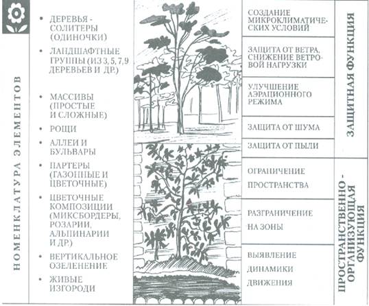 гетеротрофные растения. в состав первичных растительных группировок входят растения. совокупность растений. в состав первичных растительных группировок входят растения. биология 6 кл таблица о ткани растений.