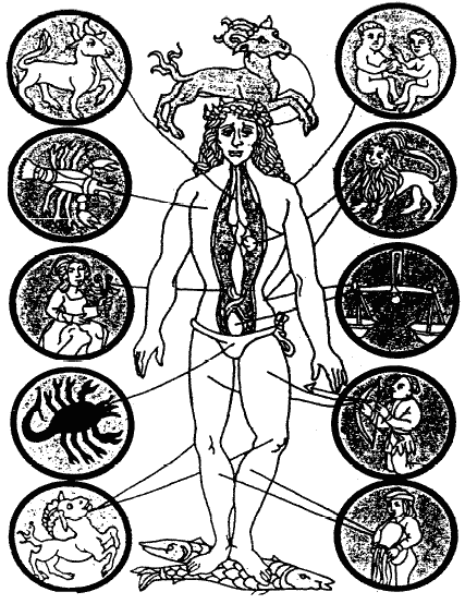 Знаки зодиака на теле человека. Зодиакальный человек. Астрология органы человека. Зодиак и части тела.