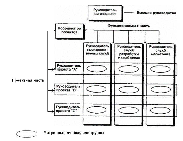 Матричная организационная структура управления проектами