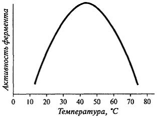Влияние температуры на активность фермента амилазы. Активность фермента при температуре. Влияние температуры на активность ферментов. График скорости ферментативной реакции от температуры. Влияние ph на активность амилазы.