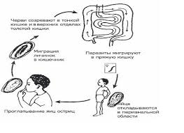 Аурухана ішілік инфекция - презентация онлайн