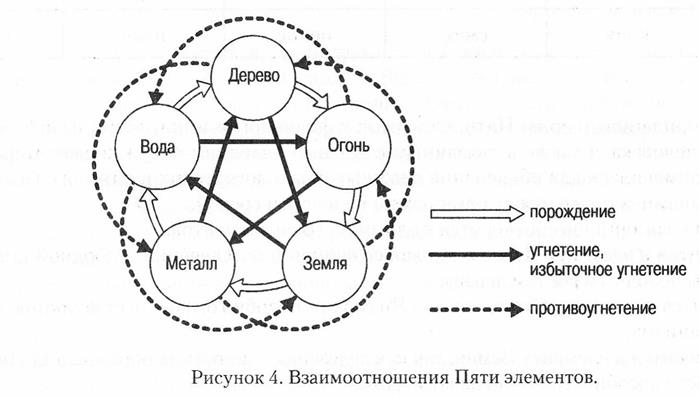 5 элементов физическая