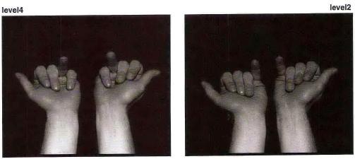 Что можно сделать с пальцами. Скрещенные безымянный и средний. Согнутый средний палец. Средний и безымянный палец. Скрещенные безымянный и средний.