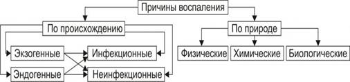 Рассмотрите схему воспалительного процесса. Химические причины воспаления. Причины воспаления физические химические биологические. Эндогенные флогогенные факторы.