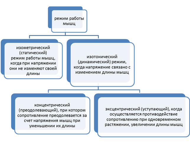 на пересечении каких плоскостей образуется сагиттальная ось. Смотреть фото на пересечении каких плоскостей образуется сагиттальная ось. Смотреть картинку на пересечении каких плоскостей образуется сагиттальная ось. Картинка про на пересечении каких плоскостей образуется сагиттальная ось. Фото на пересечении каких плоскостей образуется сагиттальная ось
