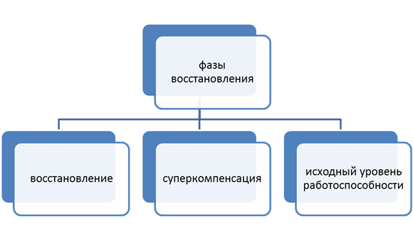 на пересечении каких плоскостей образуется сагиттальная ось. Смотреть фото на пересечении каких плоскостей образуется сагиттальная ось. Смотреть картинку на пересечении каких плоскостей образуется сагиттальная ось. Картинка про на пересечении каких плоскостей образуется сагиттальная ось. Фото на пересечении каких плоскостей образуется сагиттальная ось