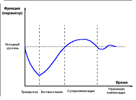 на пересечении каких плоскостей образуется сагиттальная ось. Смотреть фото на пересечении каких плоскостей образуется сагиттальная ось. Смотреть картинку на пересечении каких плоскостей образуется сагиттальная ось. Картинка про на пересечении каких плоскостей образуется сагиттальная ось. Фото на пересечении каких плоскостей образуется сагиттальная ось