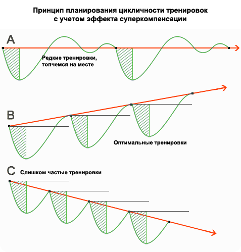на пересечении каких плоскостей образуется сагиттальная ось. Смотреть фото на пересечении каких плоскостей образуется сагиттальная ось. Смотреть картинку на пересечении каких плоскостей образуется сагиттальная ось. Картинка про на пересечении каких плоскостей образуется сагиттальная ось. Фото на пересечении каких плоскостей образуется сагиттальная ось