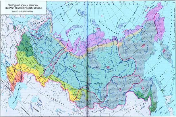 К каким границам примыкает северная граница тайги