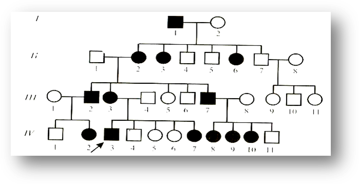 Родословная с х-сцепленным доминантным типом наследования. X сцепленный доминантный Тип наследования родословная. Х-сцепленное рецессивное наследование родословная. Сцепленный с полом доминантный Тип наследования родословная.