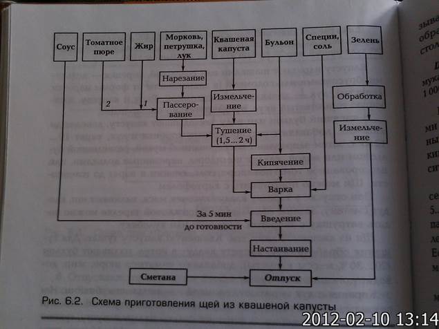 Схема щи. Технологическая схема щи из квашеной капусты с картофелем. Технологическая схема капуста тушеная. Технологическая схема щи по уральски. Щи суточные технологическая карта по сборнику рецептур.