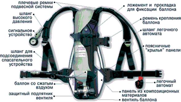 Купить Птс Профи М 170м Dd7