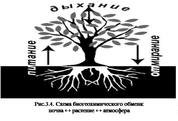 Что можно сказать о форме земли физика. Смотреть фото Что можно сказать о форме земли физика. Смотреть картинку Что можно сказать о форме земли физика. Картинка про Что можно сказать о форме земли физика. Фото Что можно сказать о форме земли физика