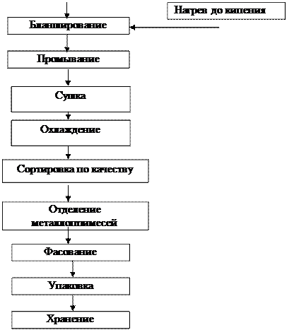 Технологическая схема: виды, принципы составления