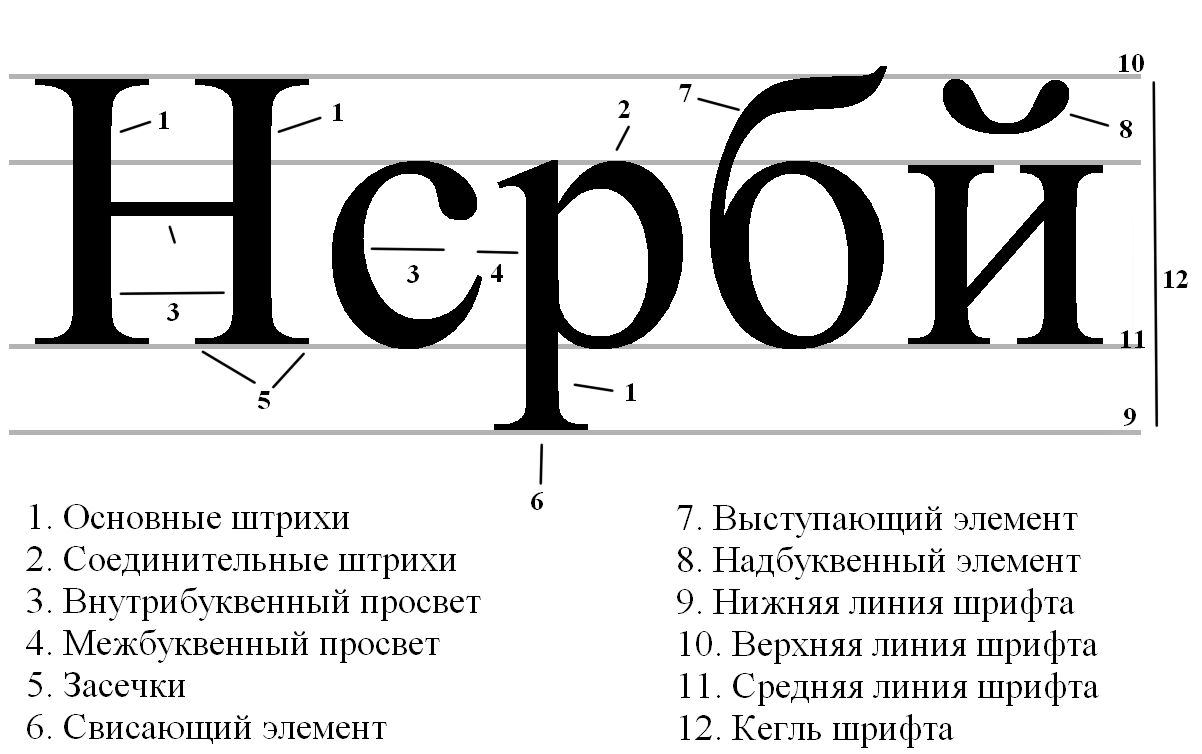 Высота шрифта измеряемая от нижнего края. Графические элементы шрифта. Основные элементы шрифта. Основные характеристики шрифтов. Элементы букв в шрифтах.