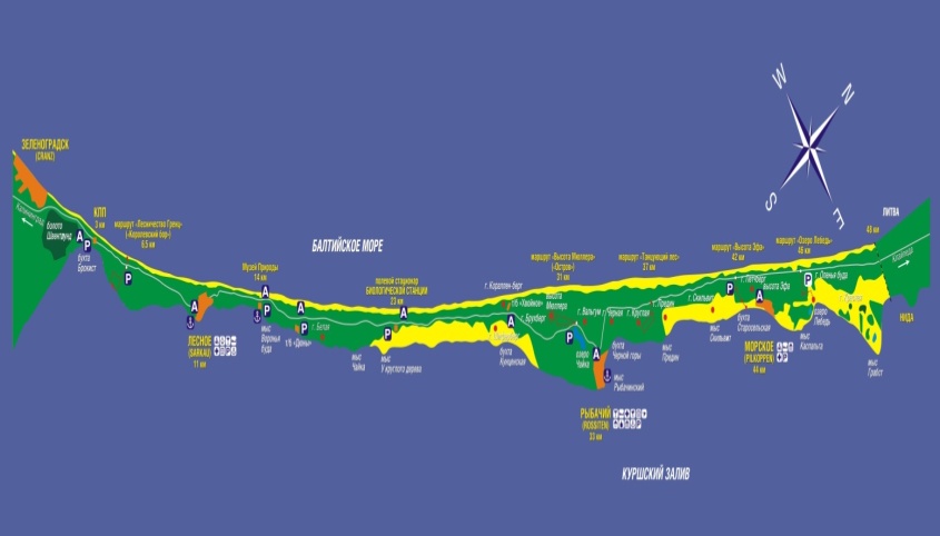 Туристическая карта куршской косы