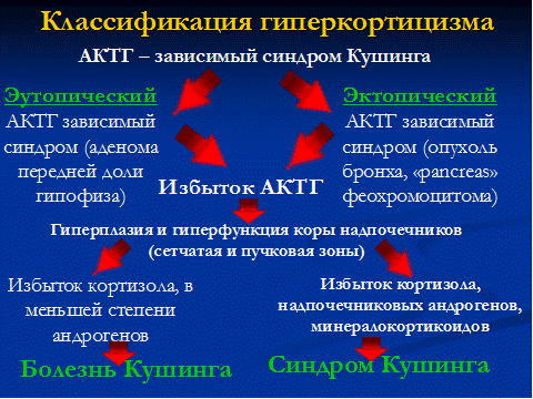 Схема этиологии и патогенеза болезни иценко кушинга