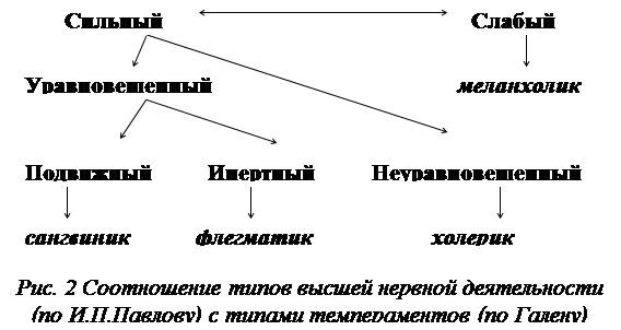 Типы темперамента человека по павлову. Типы темперамента по павлову. типы высшей нервной деятельности. типы высшей нервной деятельности по павлову. типы внд по павлову схема.