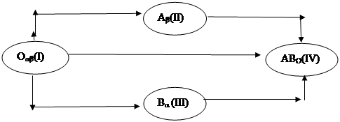 Коммуникатор реципиент схема