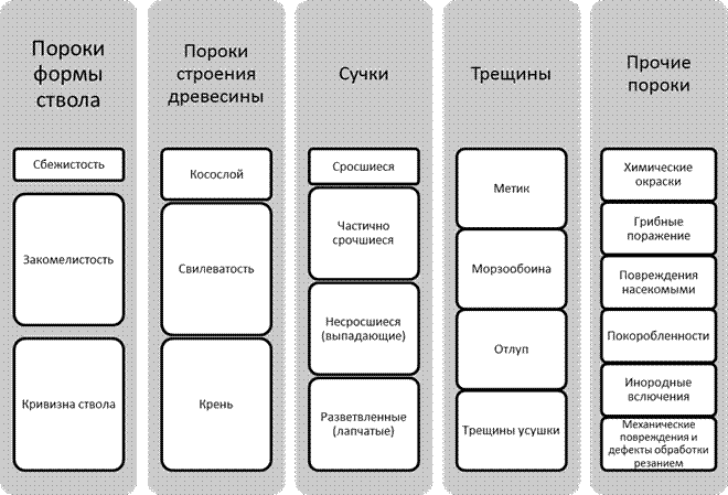 Классификация сучков по взаимному расположению Пороки древесины