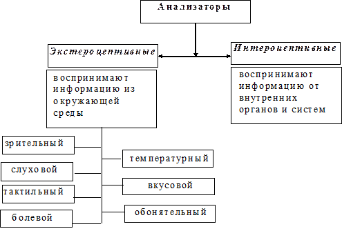 восприятие человека окружения