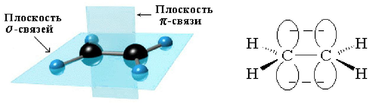 Этилен гибридизация атома углерода. Строение молекул алкенов плоское. Этилен тетраэдрическое строение. Пространственная структура алкенов. Строение алкенов рисунок.