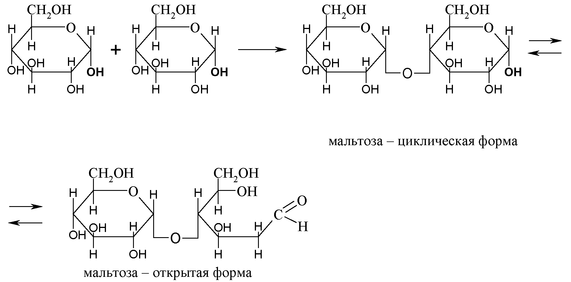 восстановите недостающие звенья в словообразовательных цепочках. пропущенные звенья словообразовательных цепочек. дыхательная цепь формула. целлобиоза мутаротация. восстанавливающие дисахариды мальтоза лактоза целлобиоза.