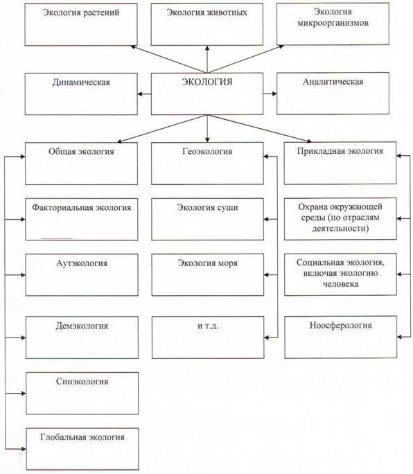 Сущность геоэкологии схема. Геоэкология таблица. Прикладная Геоэкология. Геоэкология схема.