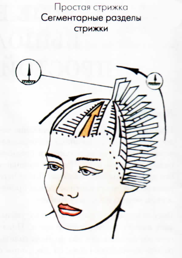Техника окрашивания 13 прядей схема