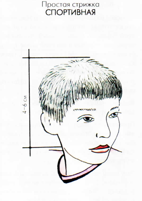 Схема стрижки мальчика. Спортивная стрижка мужская схема. Схемы мужских стрижек. Стрижка Молодежная мужская схема. Схема стрижки канадка.