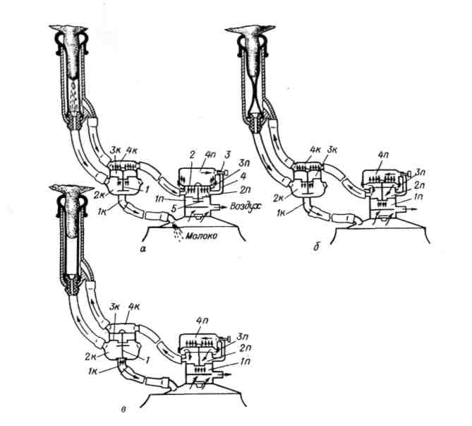 Схема двухтактного доильного аппарата. Такт сжатия такт сосания доильного аппарата. Двухтактный доильный аппарат аду-1 схема. Пульсатор доильного аппарата схема аду1. Схема работы доильного аппарата волга.