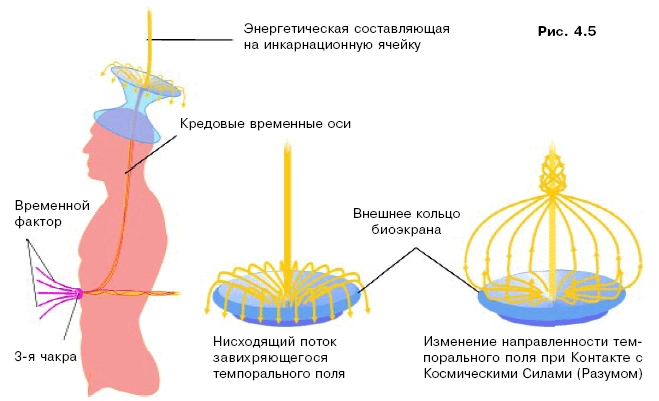 Энергия человека схема
