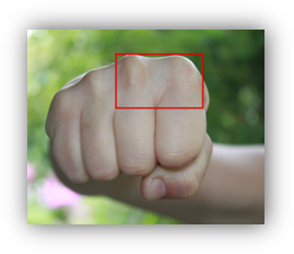 Косточка указательного и среднего пальца на кулаке. Почему кулаков называли кулаками