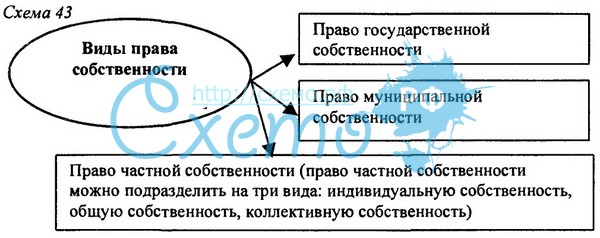 Укажите пример осуществления права владения