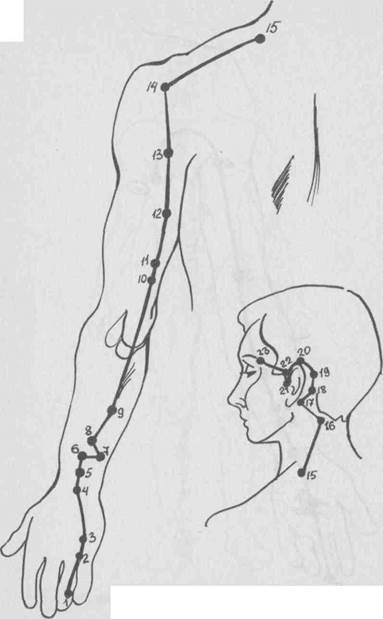 10. Меридиан тройного обогревателя 2024 КСОО"Содружество цигун, ушу Забайкальско