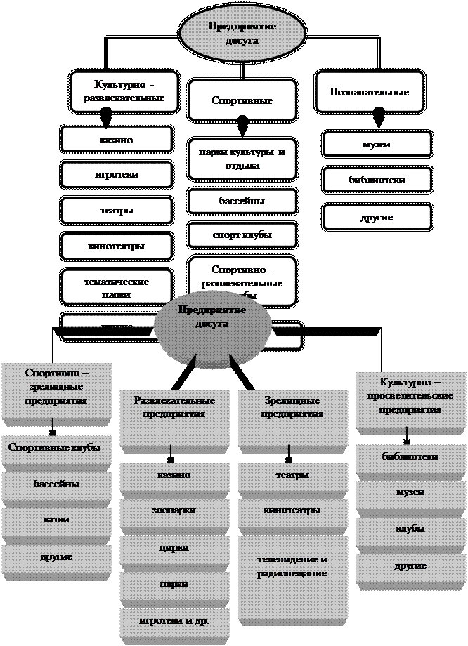 структура организации досуга
