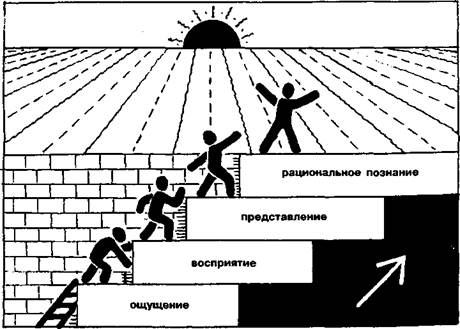 Познание. Теория Обществознание ЕГЭ