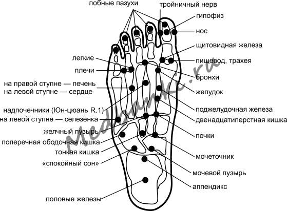 Каналы подошвы. Схема активных точек на ступнях. Акупунктурные точки сторона стопы. Биологические активные точки на стопе человека. Активные точки стопы акупунктура.