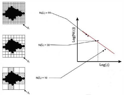 расчет фракталов. формула фрактала. фрактальная размерность. фрактальный анализ. расчет фракталов.