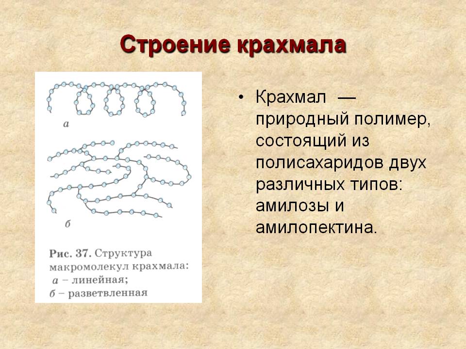 Какую геометрическую форму макромолекул имеет крахмал. Какую геометрическую форму макромолекул имеет крахмал