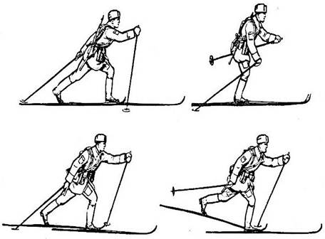 Какой ход передвижения на лыжах появился раньше. Способы передвижения на лыжах. Проект способы передвижения на лыжах. Комбинированные способы передвижения на лыжах. Способы передвижения на лыжах 5 класс.