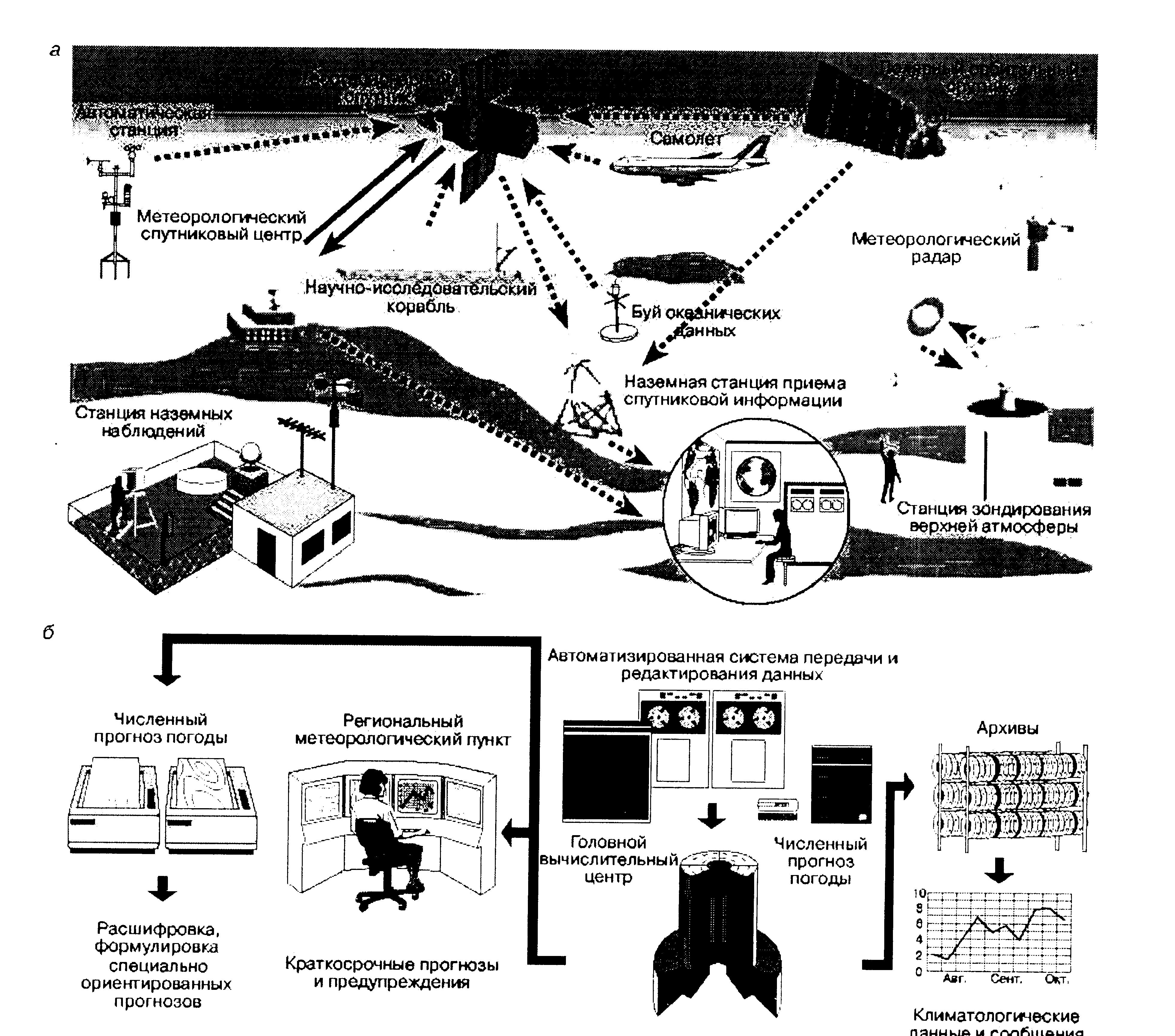 Абиотические факторы паразитизм строительство плотины