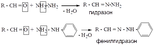Реакция кижнера вольфа. Реакция кижнера вольфа