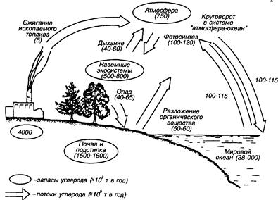 Схема загрязнения воздуха. Схема попадания загрязняющих веществ в атмосферу. Загрязнение атмосферы почвы воды схема. Миграция загрязняющих веществ. - Схема загрязнений и круговорота веществ в атмосфере.