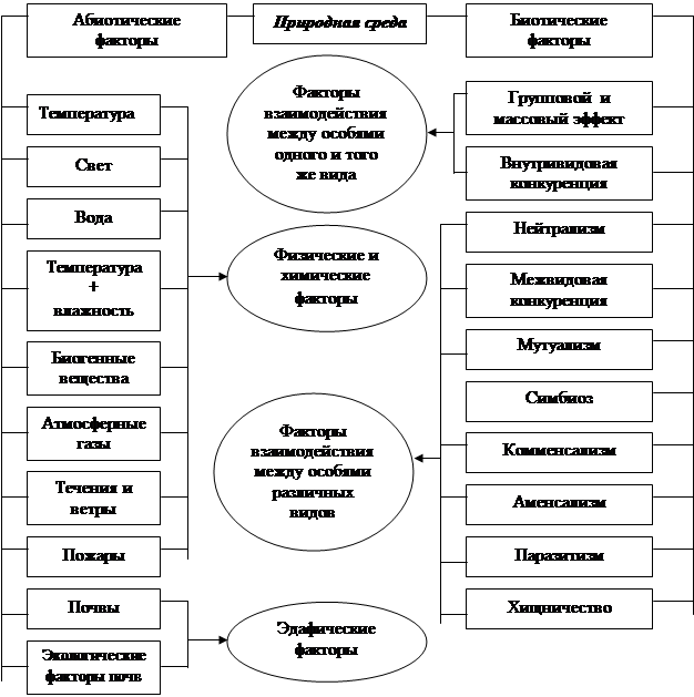 Классификация экологических факторов. Схема классификации экологических факторов. схема &quot;классификация экологических факторов среды&quot;. составить схему «классификация экологических факторов. классификация экологических факторов по одуму.